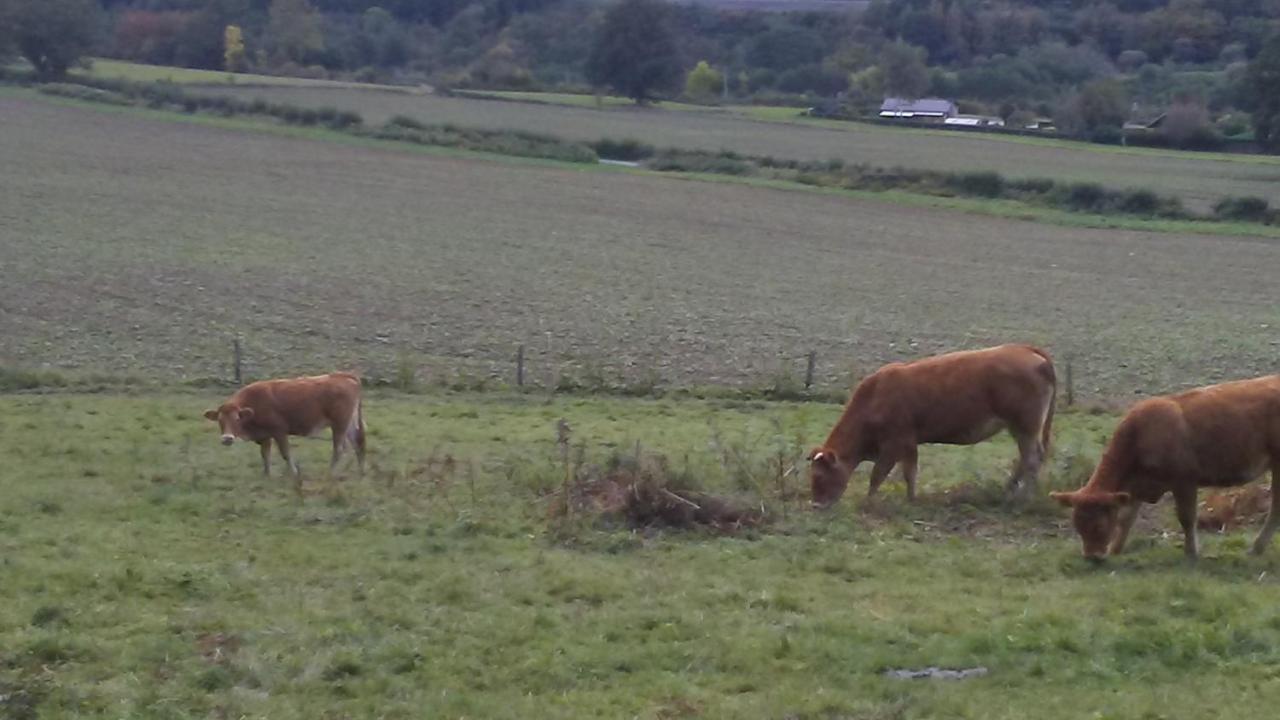 Vakantieverblijf Nature Stavelot Εξωτερικό φωτογραφία